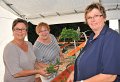Binden am Donnerstag 017
